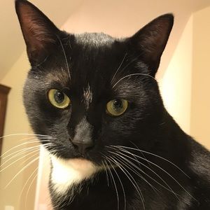 Meet your Posher, Michael